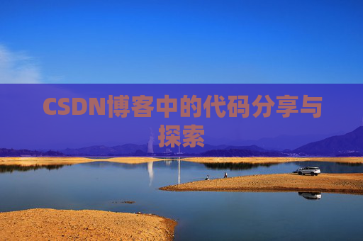 CSDN博客中的代码分享与探索