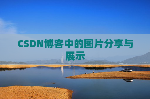 CSDN博客中的图片分享与展示